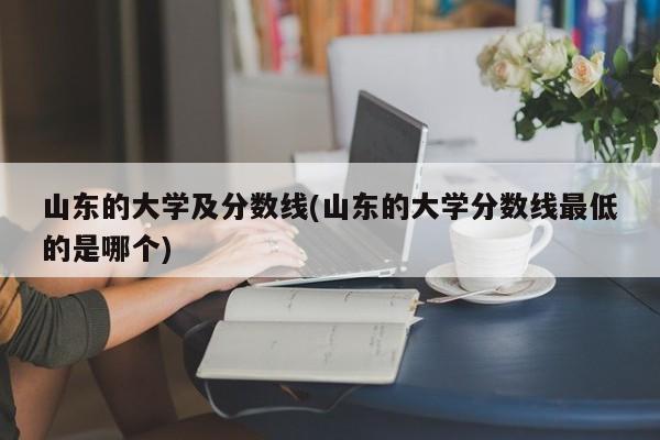 山东的大学及分数线(山东的大学分数线最低的是哪个)